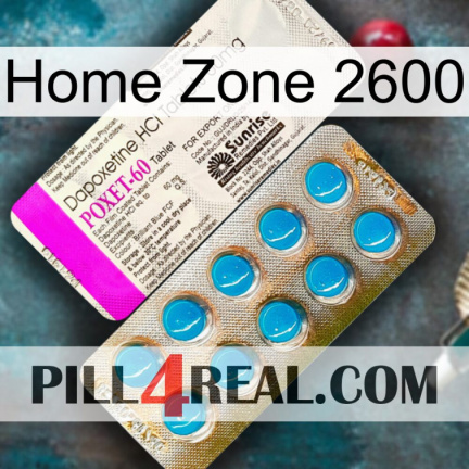 Home Zone 2600 new07